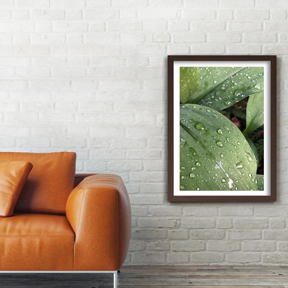 Glezna brūnā rāmī - Dew On The Green Leaf Home Trends DECO