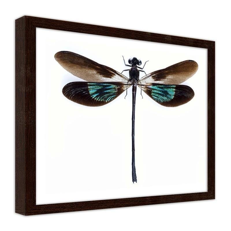 Glezna brūnā rāmī - Dragonfly Home Trends DECO