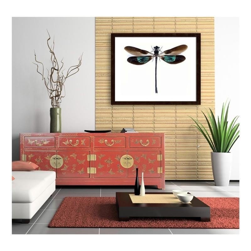 Glezna brūnā rāmī - Dragonfly Home Trends DECO