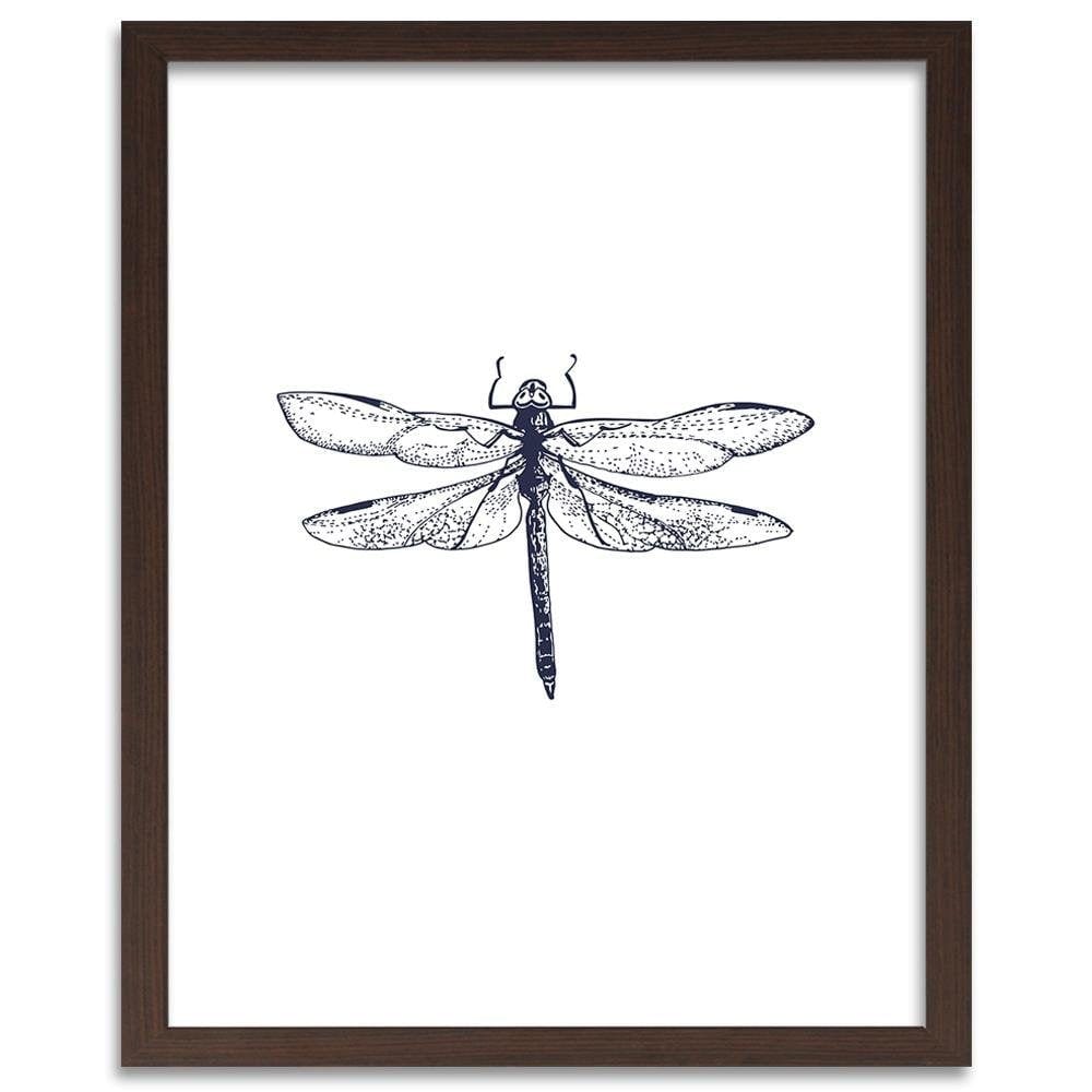 Glezna brūnā rāmī - Drawn Dragonfly Home Trends DECO