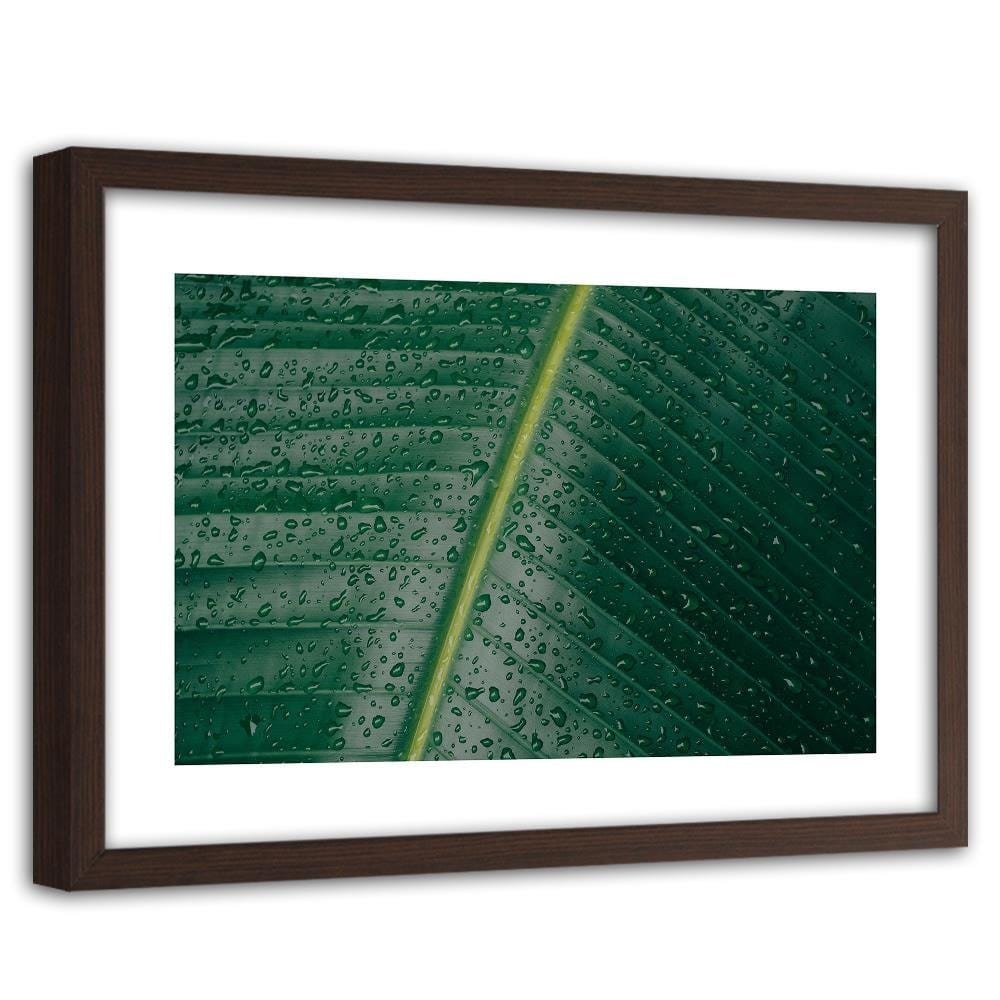 Glezna brūnā rāmī - Drops On A Leaf Close-Up Home Trends DECO