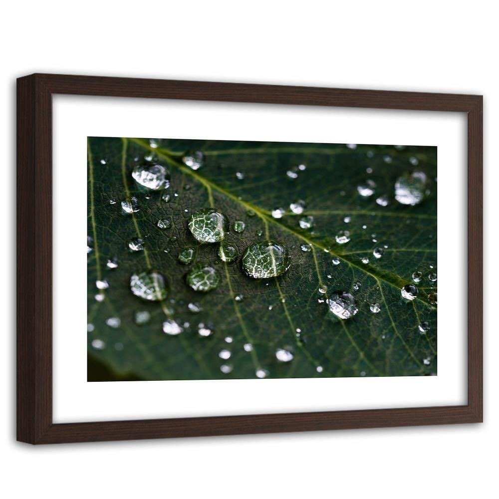 Glezna brūnā rāmī - Drops On The Leaves Home Trends DECO