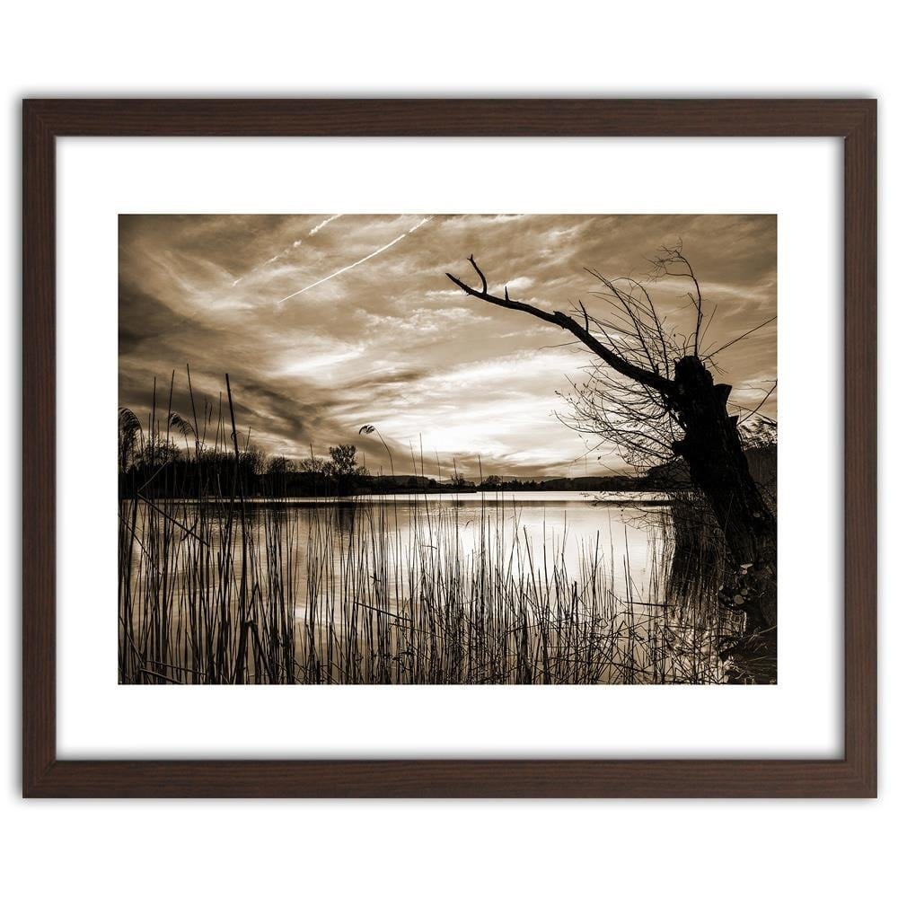 Glezna brūnā rāmī - Dry Tree On The Lake 1 Home Trends DECO