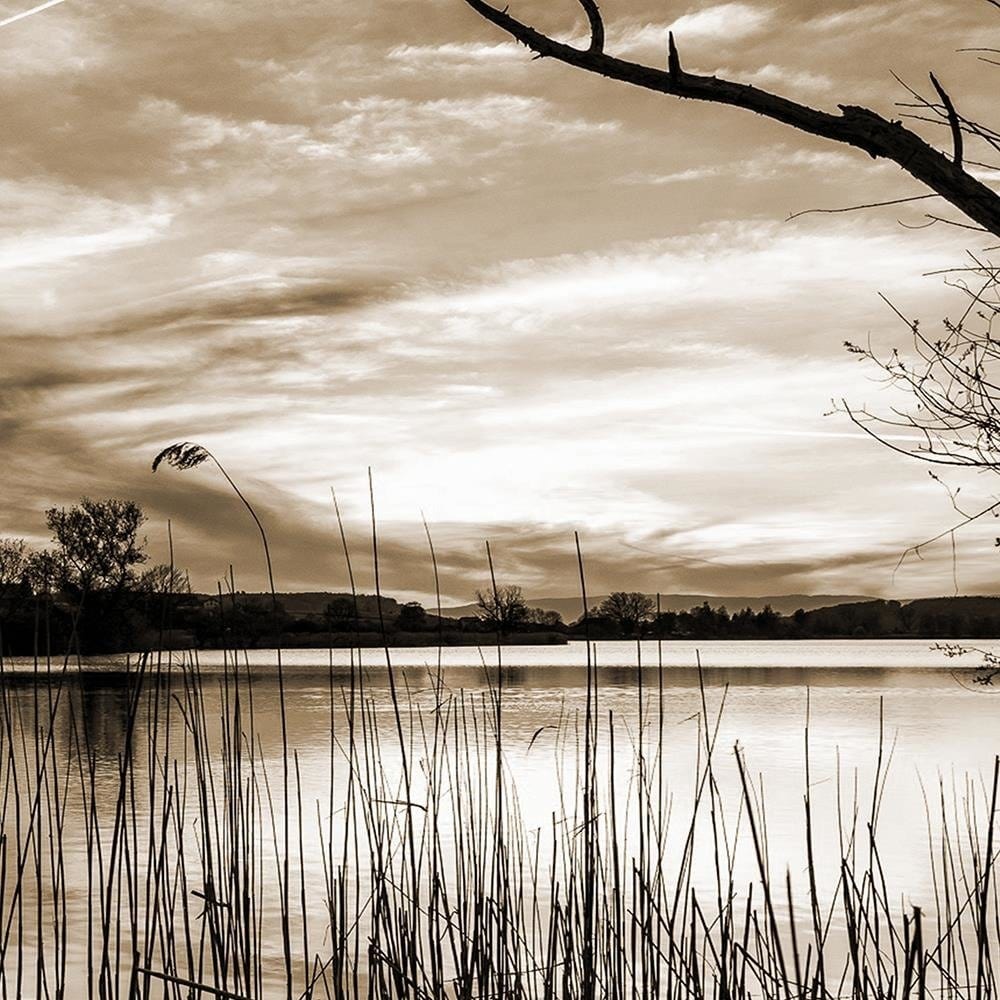 Glezna brūnā rāmī - Dry Tree On The Lake 1 Home Trends DECO