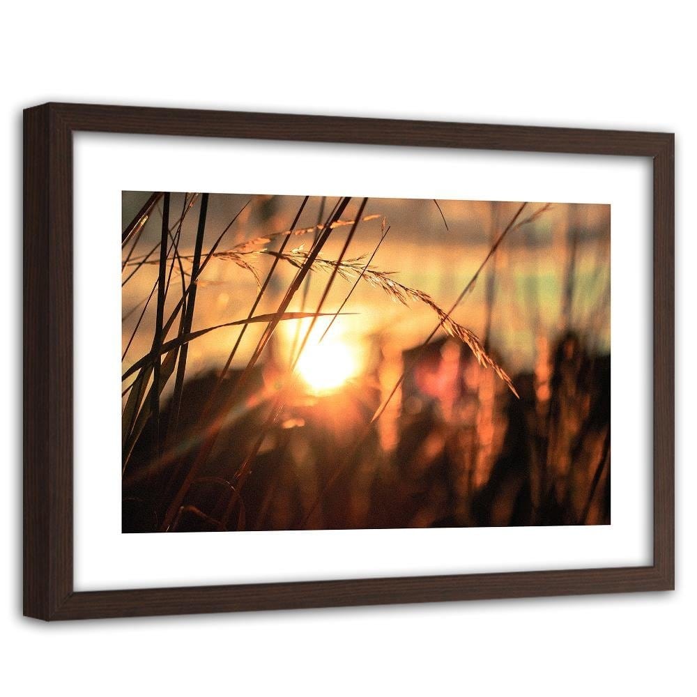 Glezna brūnā rāmī - Ears In The Sun Home Trends DECO