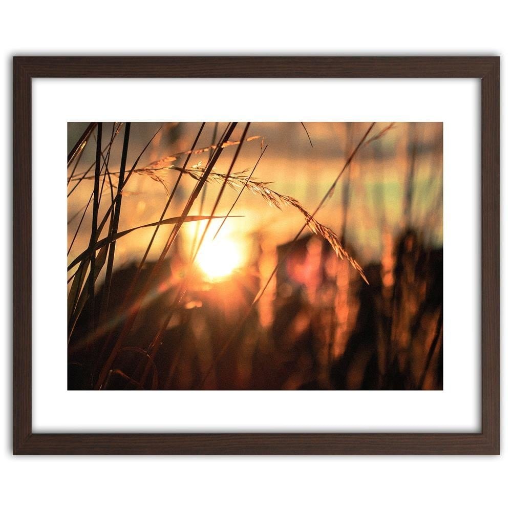 Glezna brūnā rāmī - Ears In The Sun Home Trends DECO