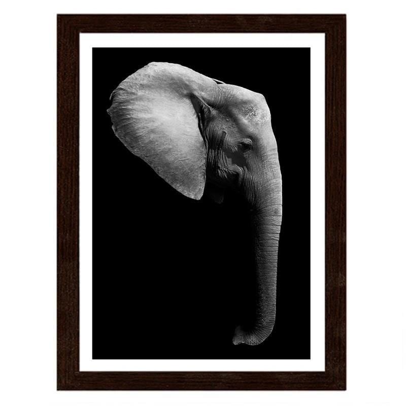 Glezna brūnā rāmī - Elephant in black and white Home Trends DECO