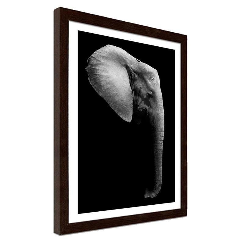 Glezna brūnā rāmī - Elephant in black and white Home Trends DECO