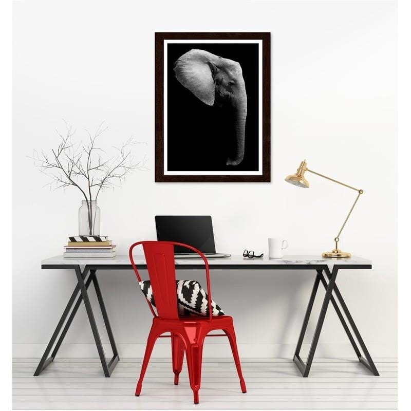 Glezna brūnā rāmī - Elephant in black and white Home Trends DECO