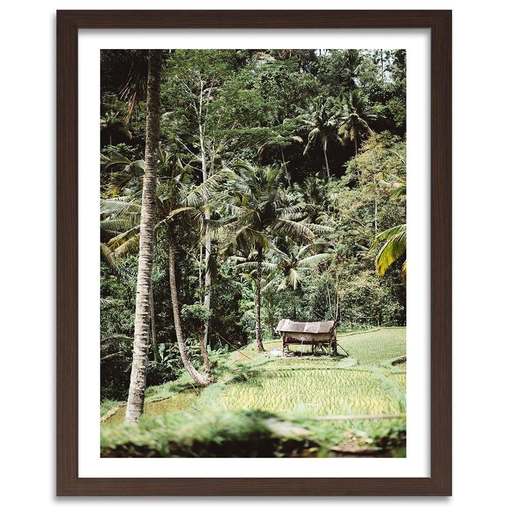 Glezna brūnā rāmī - Exotic Garden Home Trends DECO