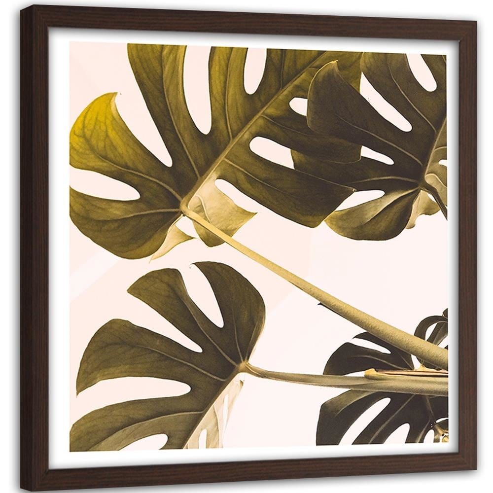 Glezna brūnā rāmī - Exotic Leaves Monstera 2 Home Trends DECO