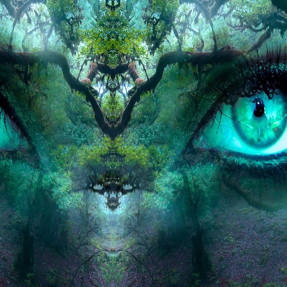 Glezna brūnā rāmī - Eyes Among The Branches Of Fantasy Home Trends DECO