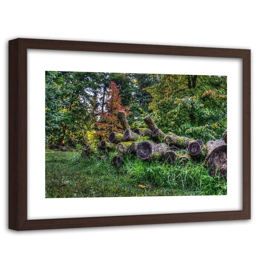 Glezna brūnā rāmī - Felled Tree Trunks Home Trends DECO