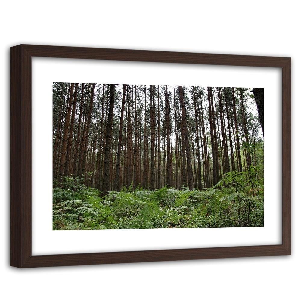 Glezna brūnā rāmī - Ferns In The Forest Home Trends DECO