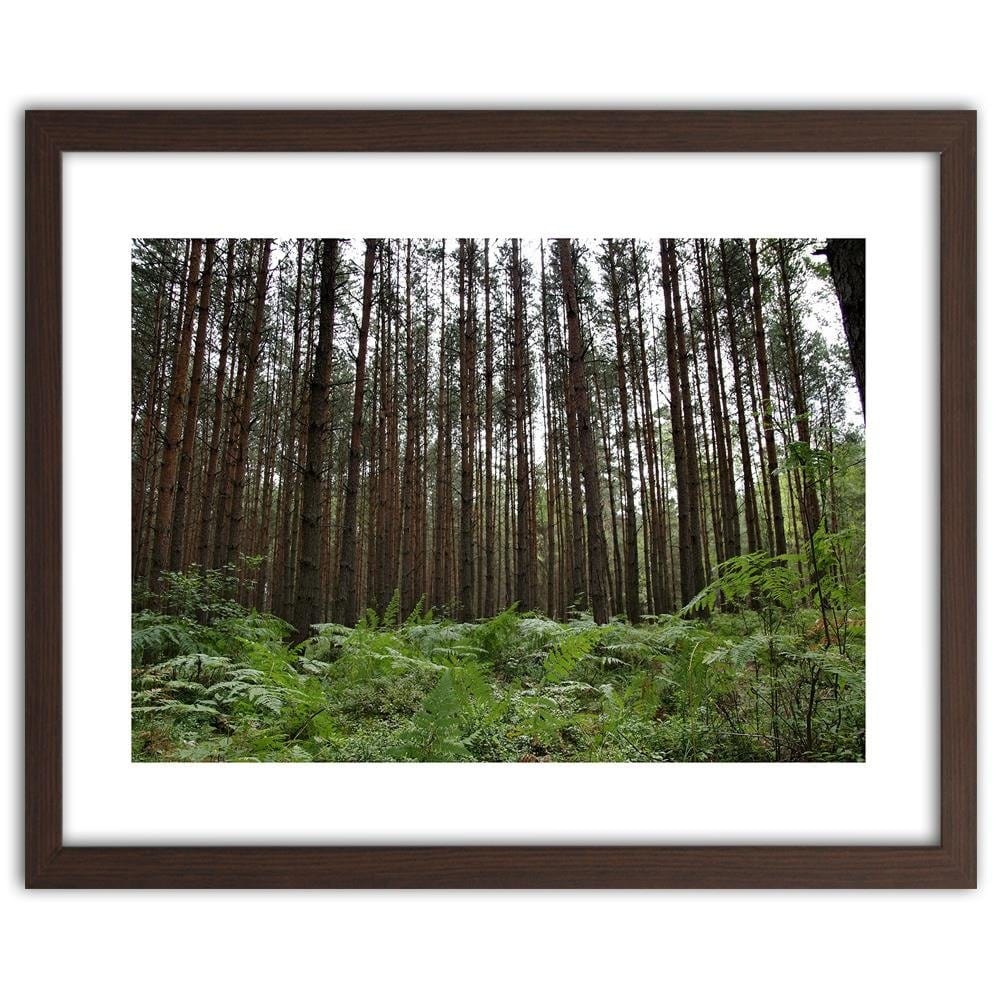 Glezna brūnā rāmī - Ferns In The Forest Home Trends DECO