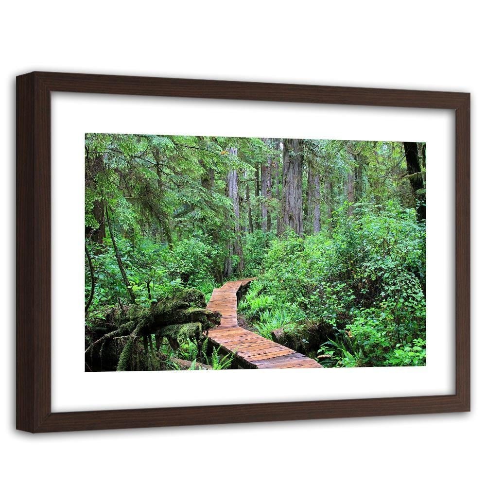 Glezna brūnā rāmī - Footbridge In The Forest Home Trends DECO