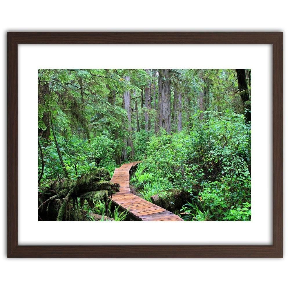 Glezna brūnā rāmī - Footbridge In The Forest Home Trends DECO
