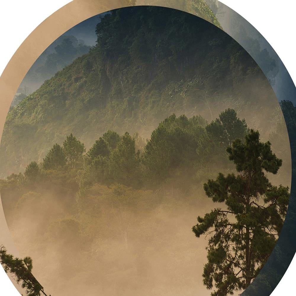 Glezna brūnā rāmī - Forest In A Circle Home Trends DECO