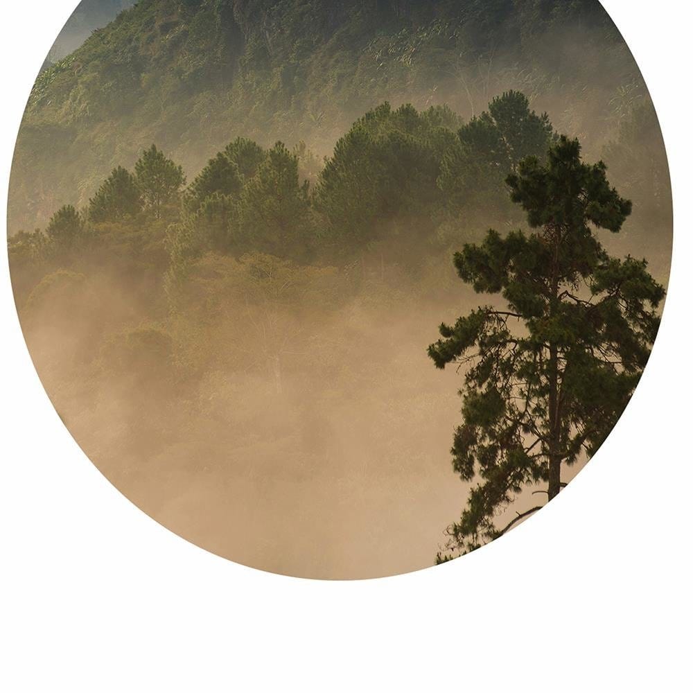 Glezna brūnā rāmī - Forest In A Circle Home Trends DECO