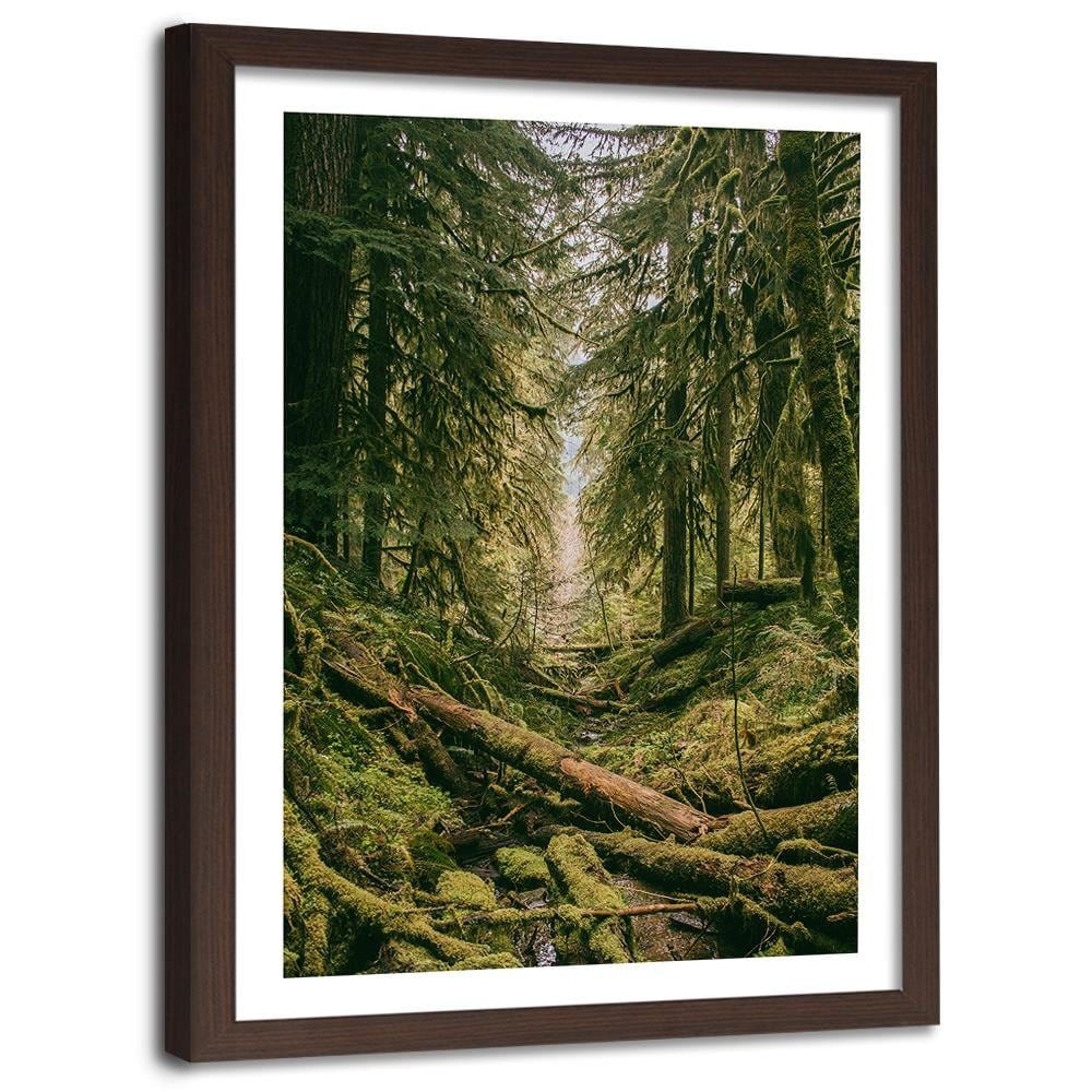 Glezna brūnā rāmī - Forest Landscape Home Trends DECO