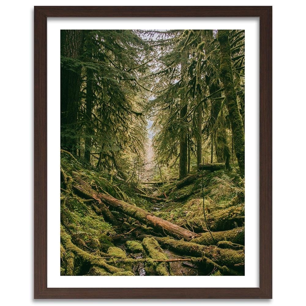 Glezna brūnā rāmī - Forest Landscape Home Trends DECO