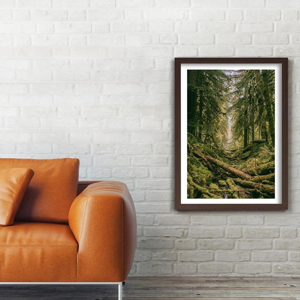 Glezna brūnā rāmī - Forest Landscape Home Trends DECO