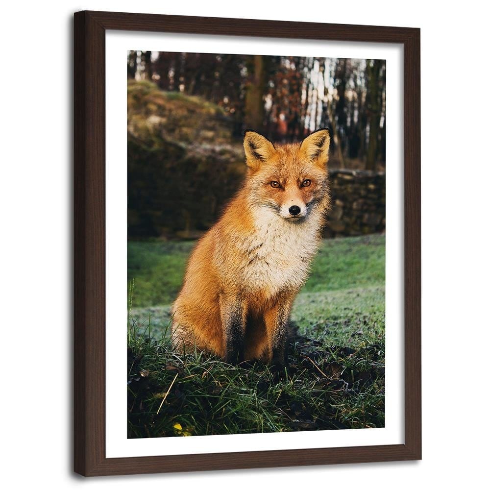 Glezna brūnā rāmī - Fox In The Woods Home Trends DECO