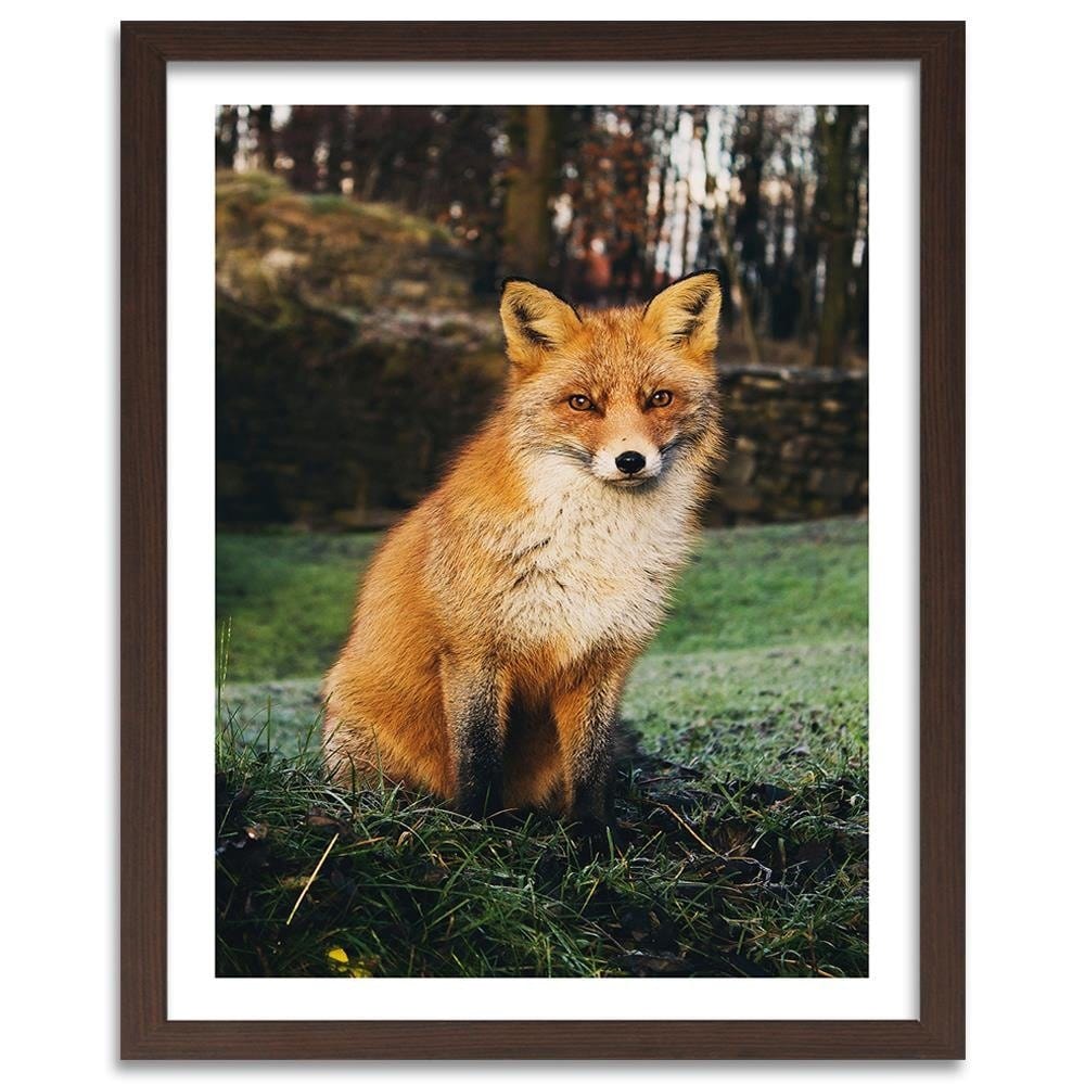 Glezna brūnā rāmī - Fox In The Woods Home Trends DECO