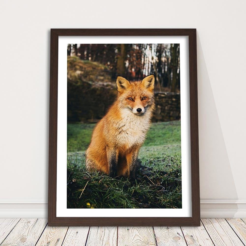 Glezna brūnā rāmī - Fox In The Woods Home Trends DECO