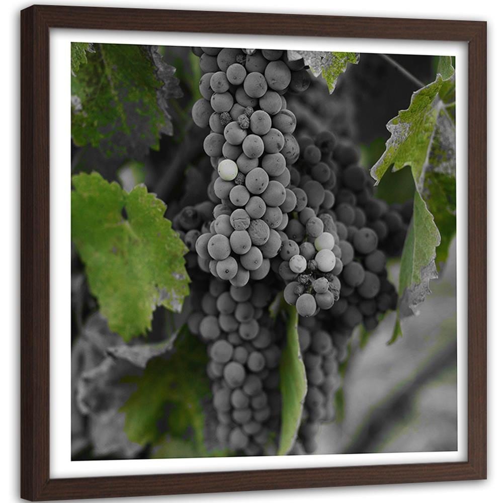 Glezna brūnā rāmī - Grapes 2 Home Trends DECO
