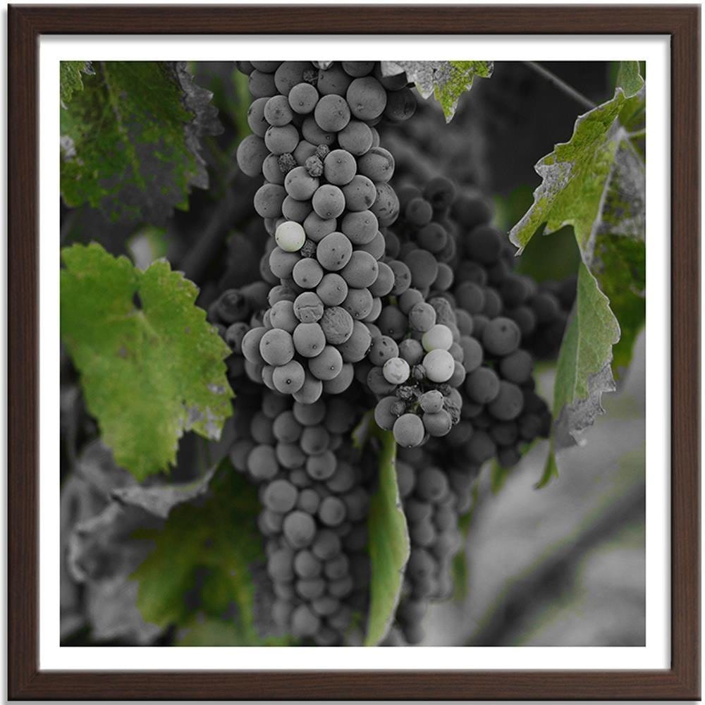 Glezna brūnā rāmī - Grapes 2 Home Trends DECO