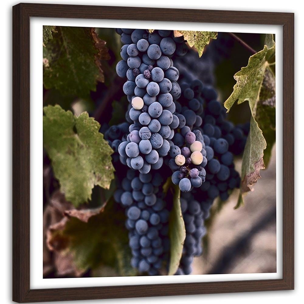 Glezna brūnā rāmī - Grapes Home Trends DECO