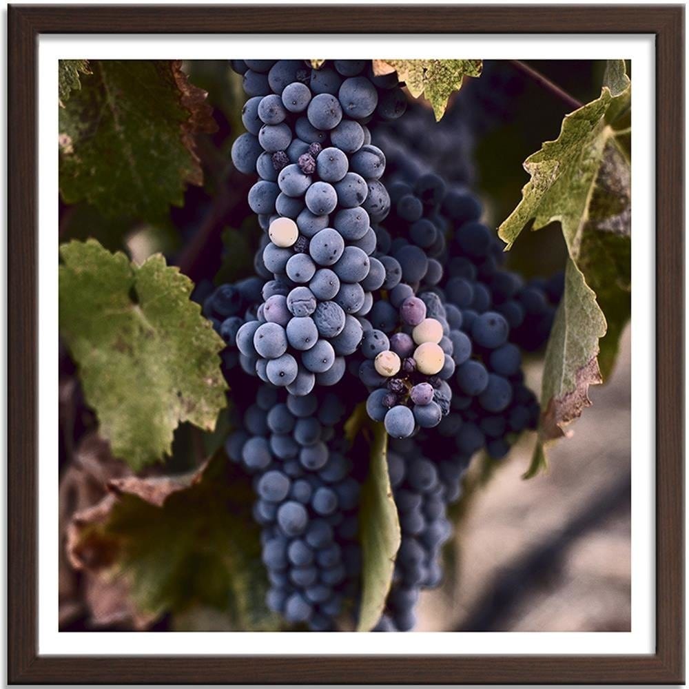 Glezna brūnā rāmī - Grapes Home Trends DECO