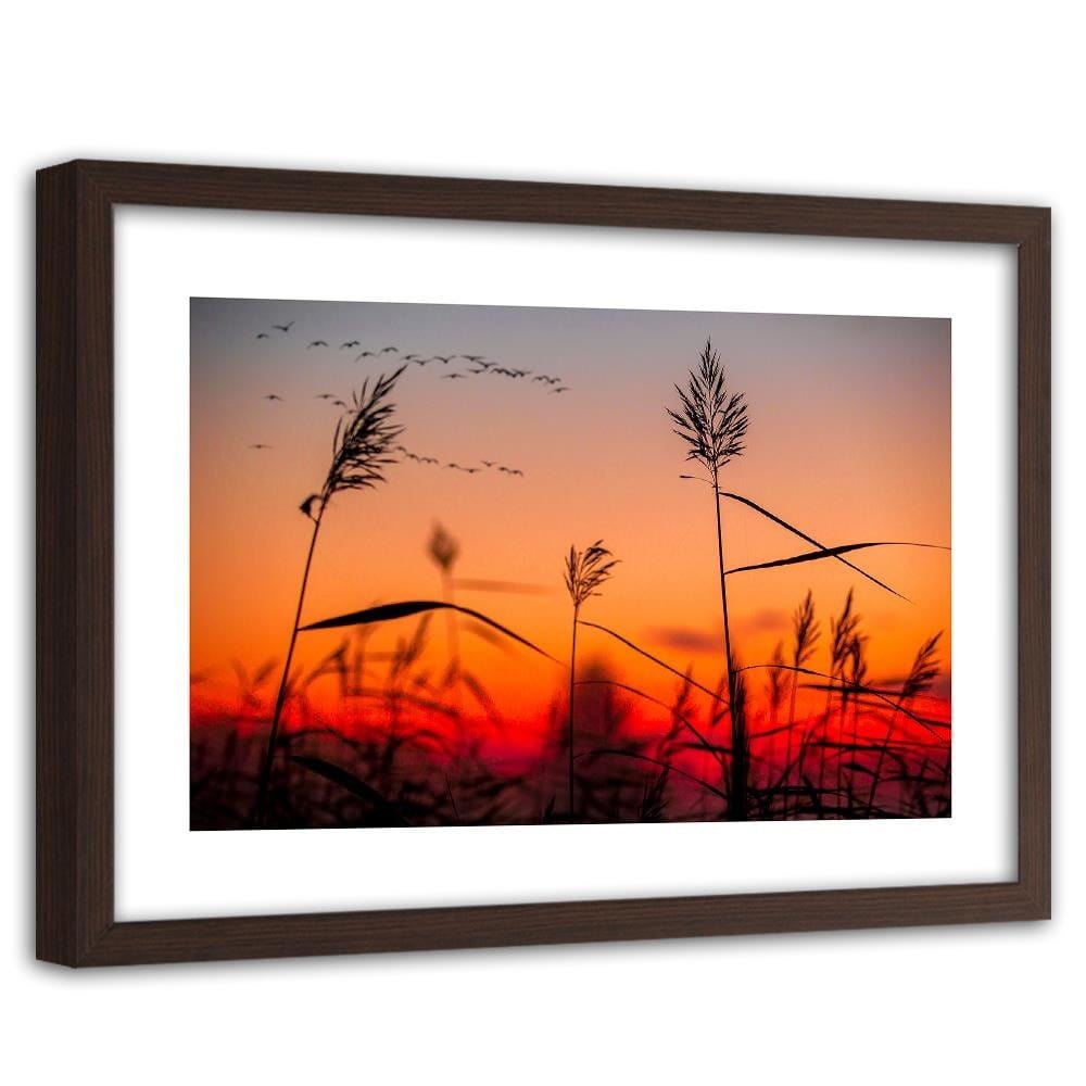 Glezna brūnā rāmī - Grass At Sunset Home Trends DECO