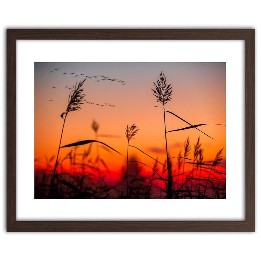 Glezna brūnā rāmī - Grass At Sunset Home Trends DECO