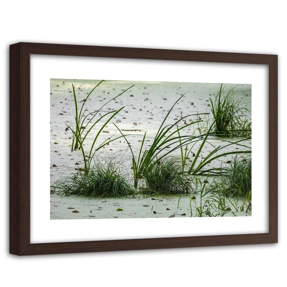 Glezna brūnā rāmī - Grass On The Beach Home Trends DECO