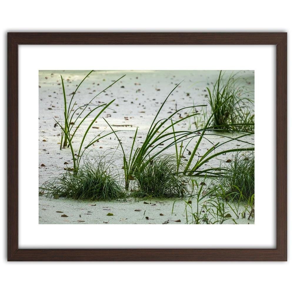 Glezna brūnā rāmī - Grass On The Beach Home Trends DECO