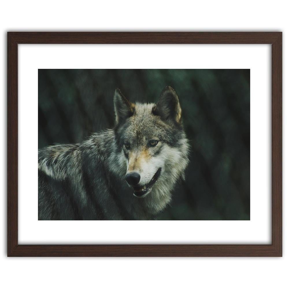Glezna brūnā rāmī - Gray Wil Home Trends DECO
