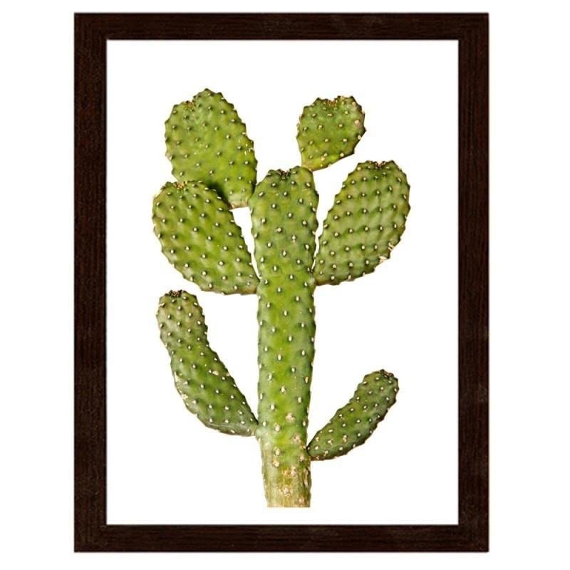 Glezna brūnā rāmī - Green cactus Home Trends DECO