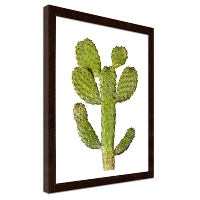 Glezna brūnā rāmī - Green cactus Home Trends DECO
