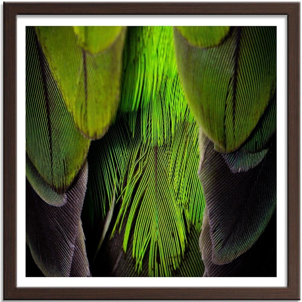 Glezna brūnā rāmī - Green Feathers Home Trends DECO