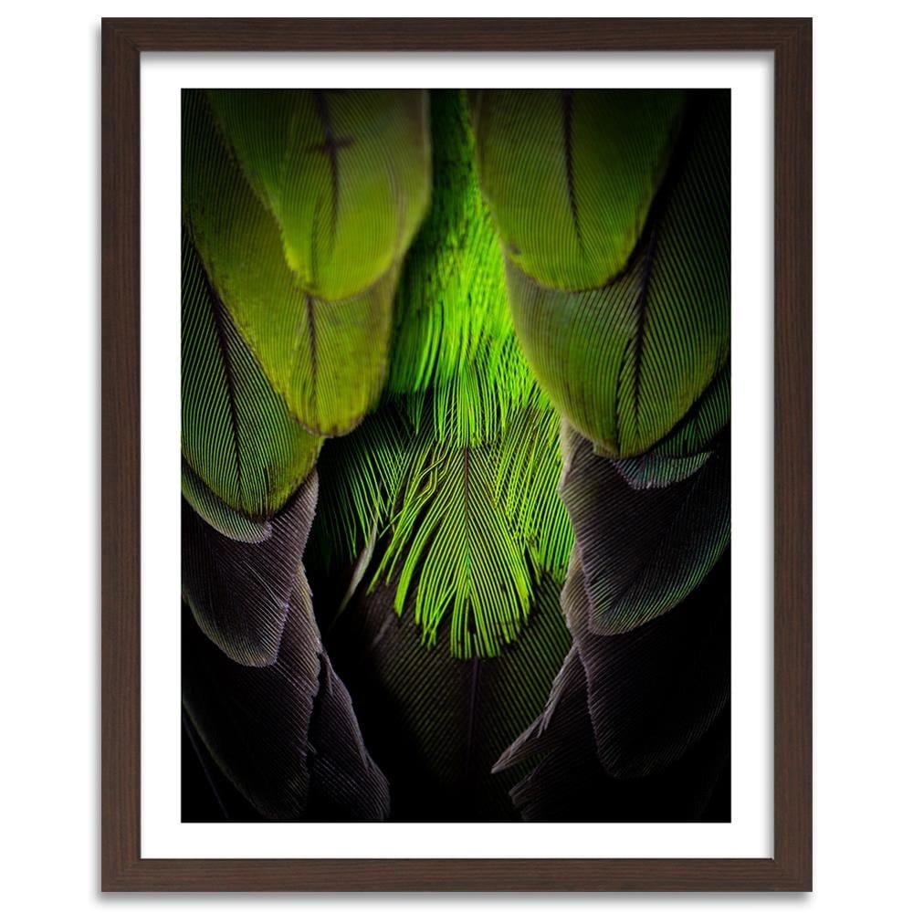 Glezna brūnā rāmī - Green Feathers Home Trends DECO