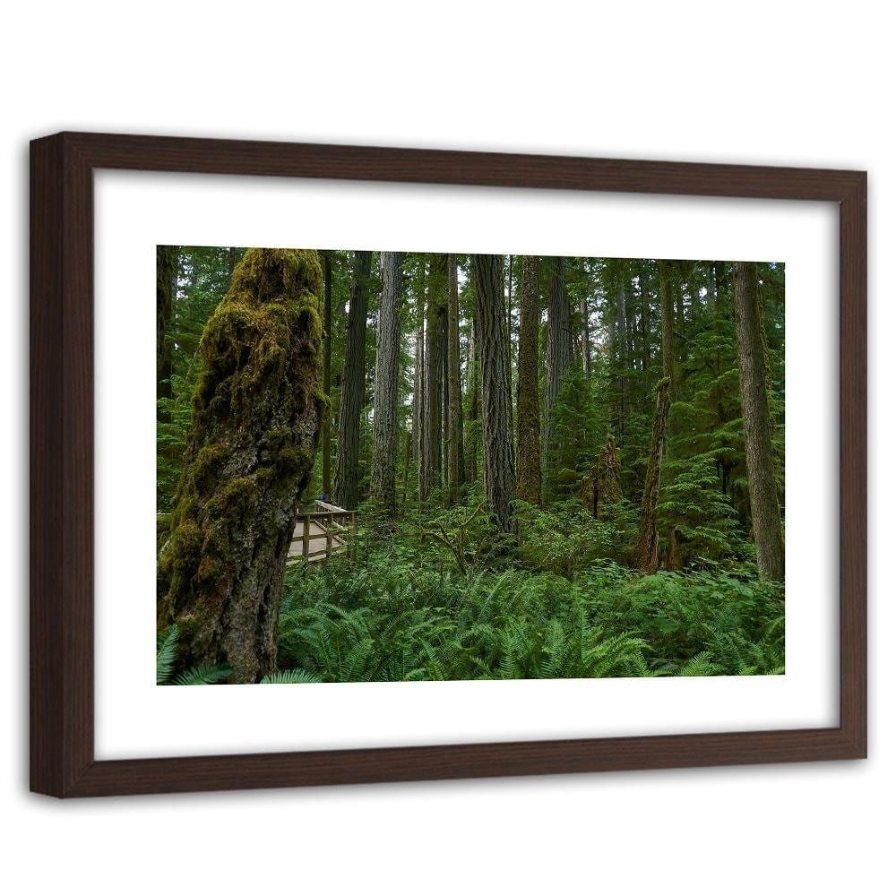 Glezna brūnā rāmī - Green Ferns In The Forest Home Trends DECO