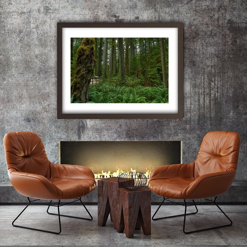 Glezna brūnā rāmī - Green Ferns In The Forest Home Trends DECO