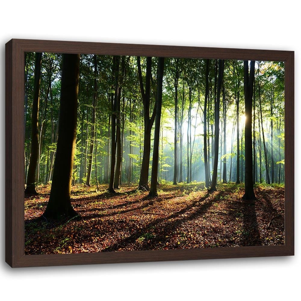 Glezna brūnā rāmī - Green Forest Home Trends DECO