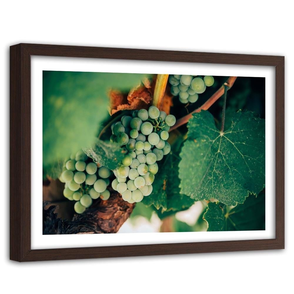 Glezna brūnā rāmī - Green Grapes Home Trends DECO