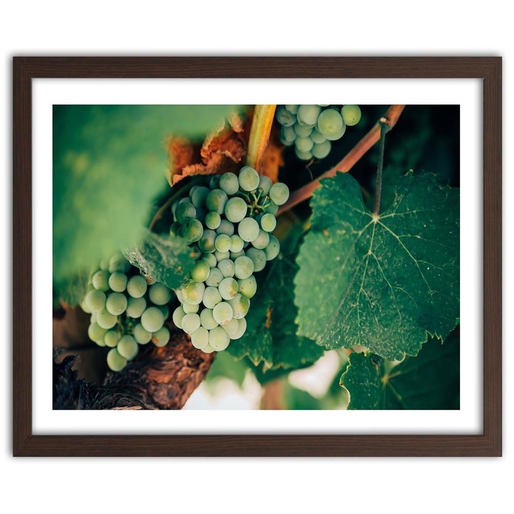 Glezna brūnā rāmī - Green Grapes Home Trends DECO