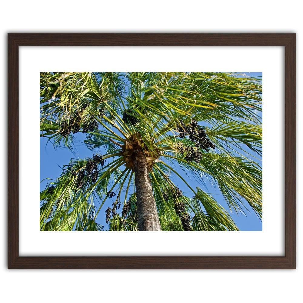 Glezna brūnā rāmī - Green Palm Home Trends DECO