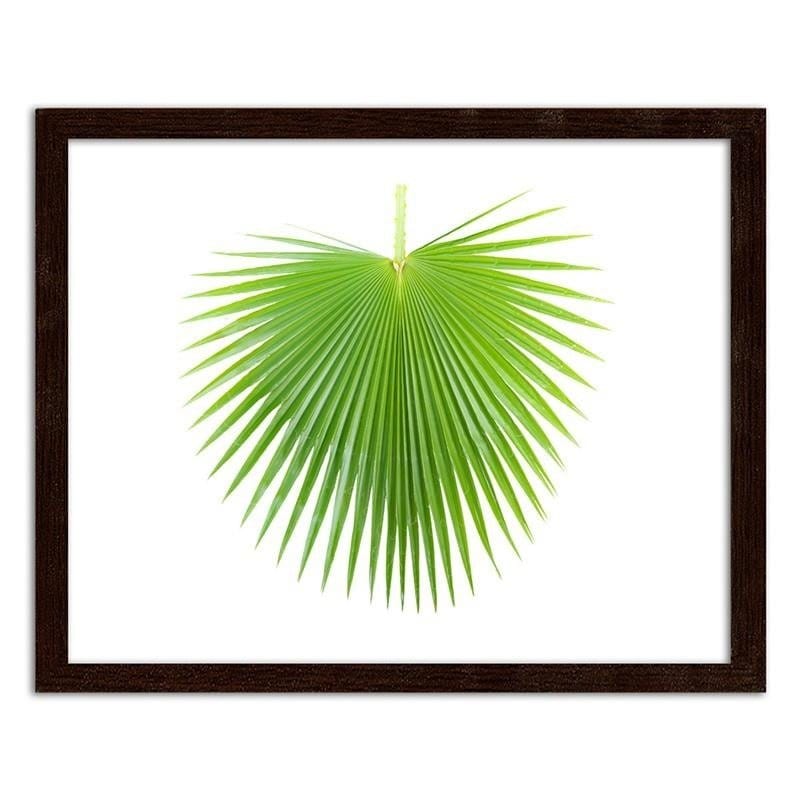 Glezna brūnā rāmī - Green palm leaf Home Trends DECO