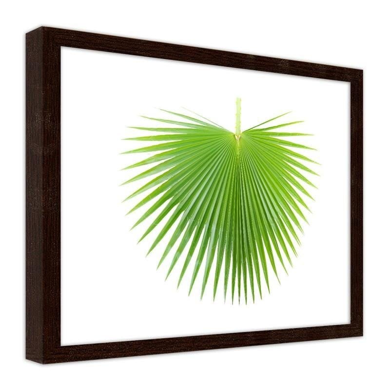 Glezna brūnā rāmī - Green palm leaf Home Trends DECO